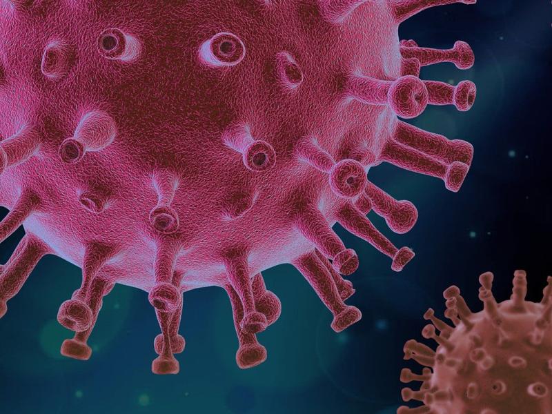 Coronavirus (COVID-19)